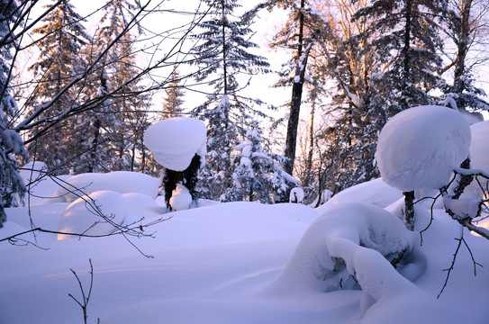 冰雪走廊