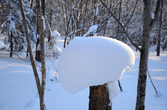 雪蘑菇