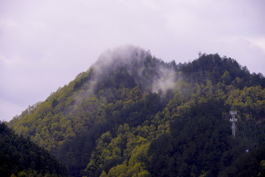 大山云雾