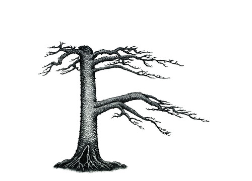 國(guó)畫(huà)松樹(shù)干