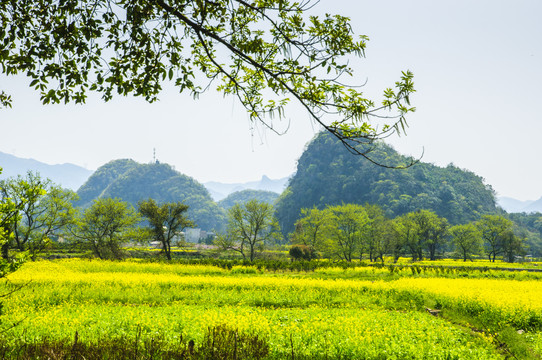 田园风光