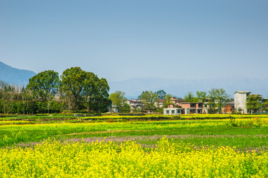 田园风光