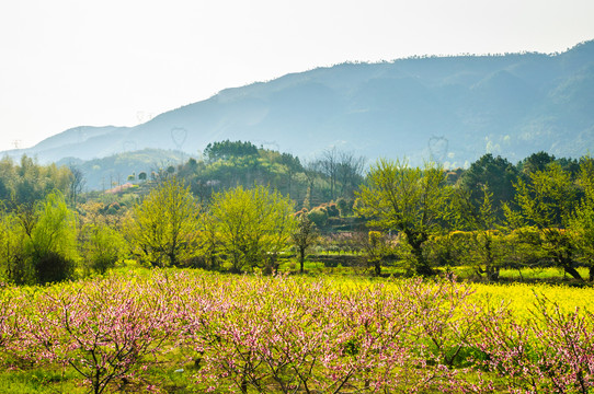 田园风光