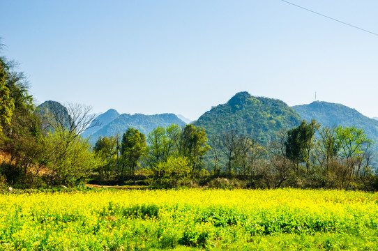 田园风光