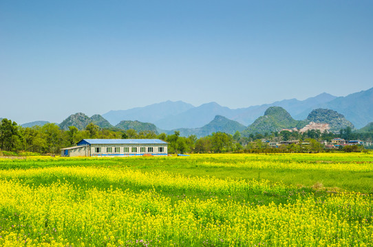 田园风光