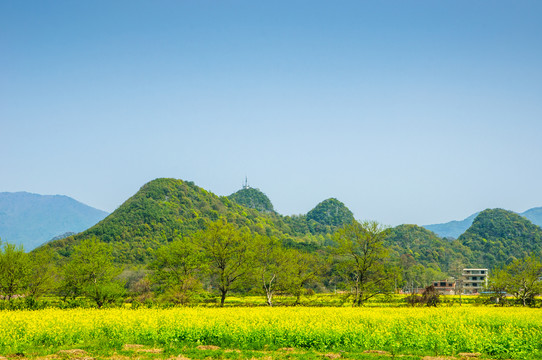 田园风光