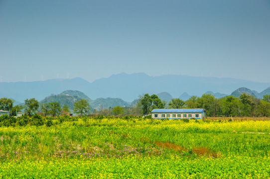 田园风光