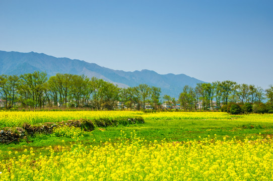 田园风光