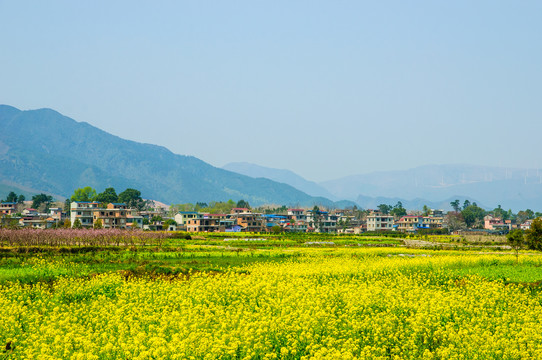 田园风光