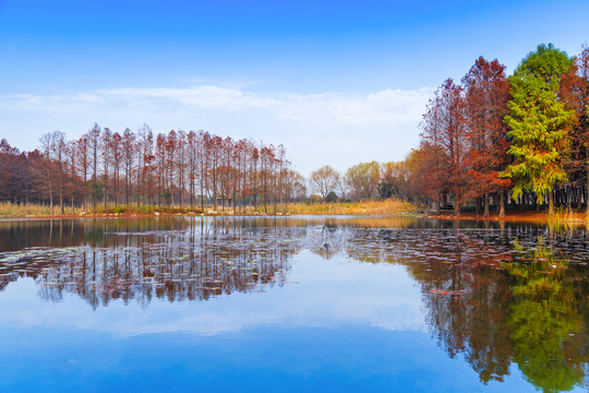 虎丘湿地公园