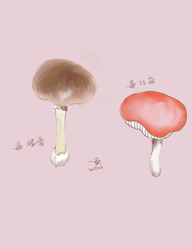 手绘蘑菇插画手机背壳