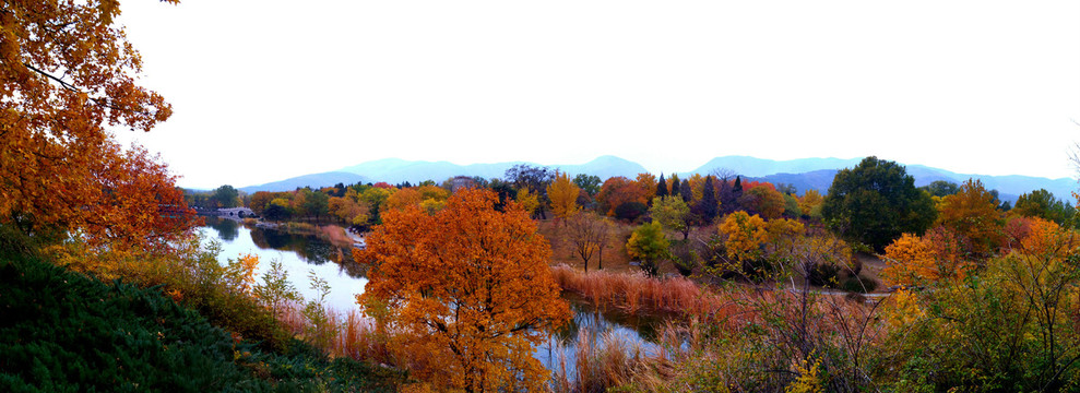 公园秋色全景