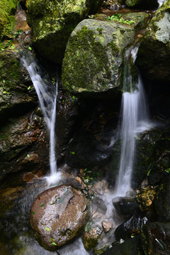 雨林