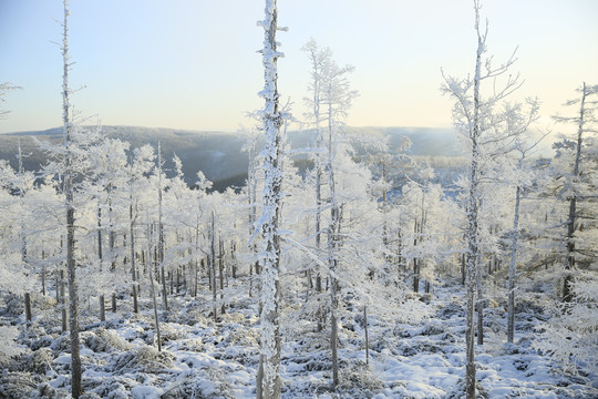 雪岭雾凇雪挂