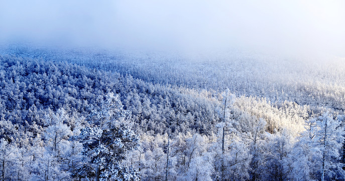 雪岭雾松雪挂