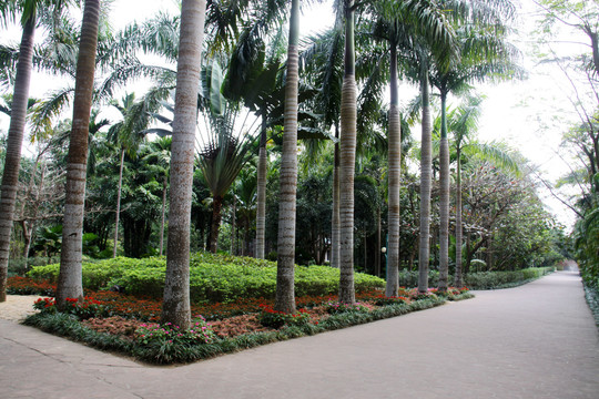兴隆植物园