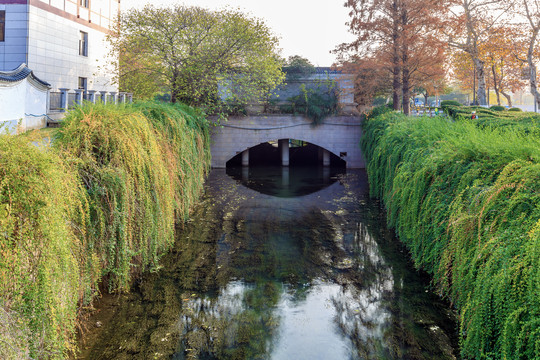 城市排水