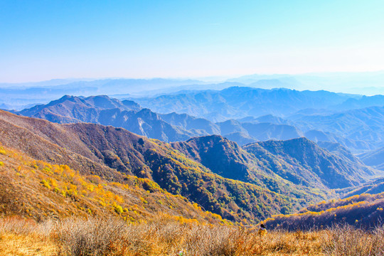 高山秋景