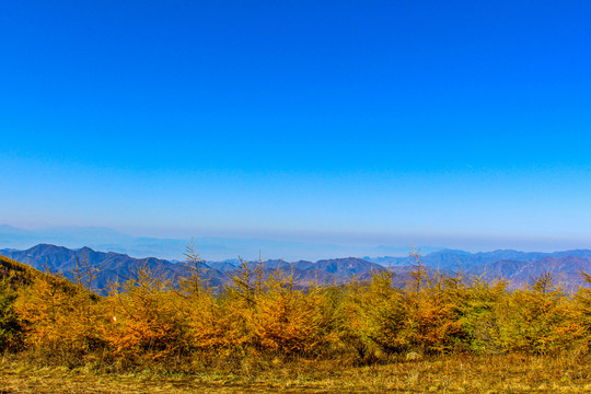 高山秋景