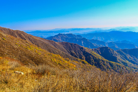 松山秋景