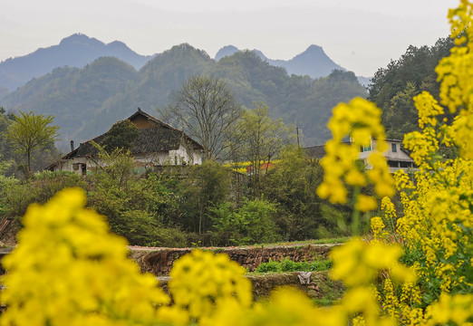 乡村景色