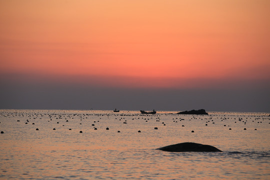 日出前的海