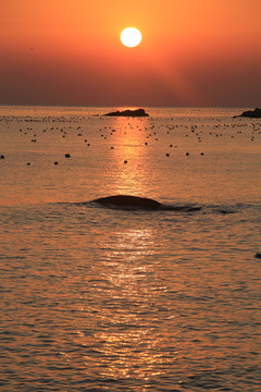 海上日出