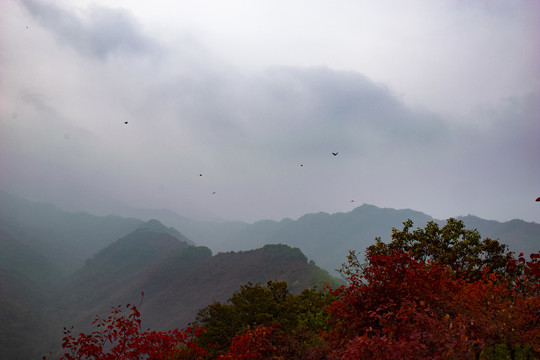 甘山森林公园