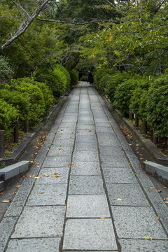 山林小路