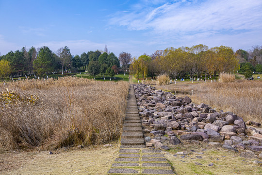 福田湿地公园