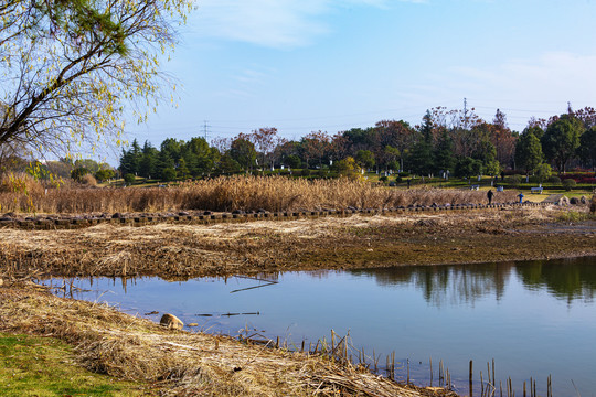 义乌福田湿地公园