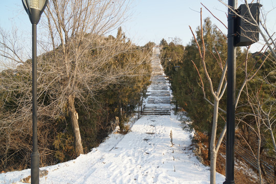 雪景