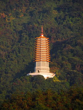 深圳仙湖弘法寺本焕塔