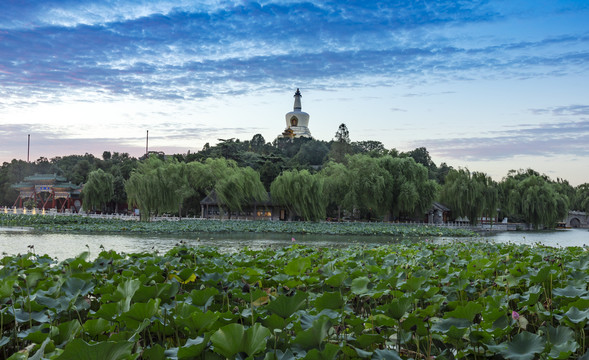 中国北京北海公园风光