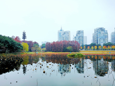 湖边秋景