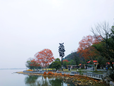 东湖风景