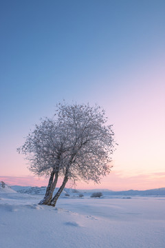 雪景