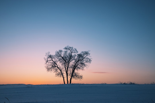 雪景