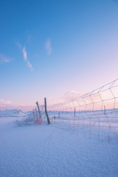 雪景