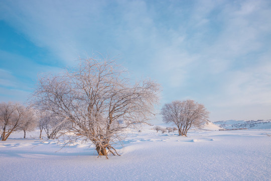 雪景