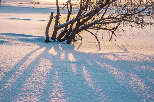 雪景