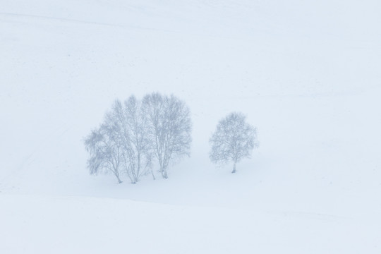 雪景