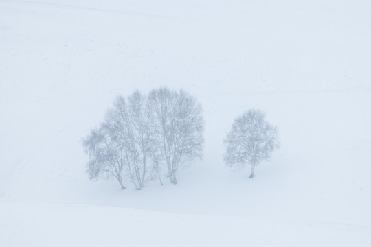 雪景