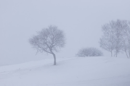 雪景