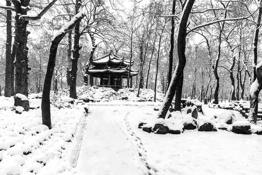 风雪苏州太平山