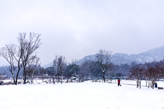 风雪苏州太平山