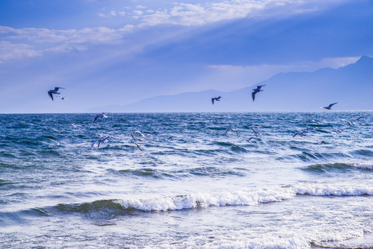 抚仙湖浪花