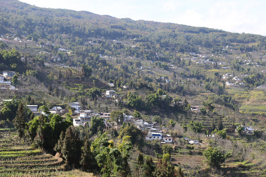 大山里的村庄