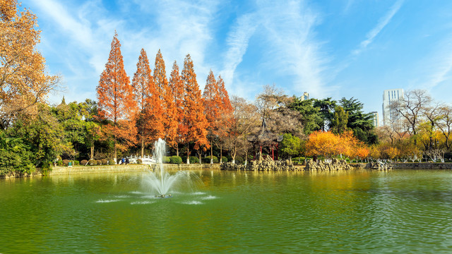 南京莫愁湖公园湖景秋色