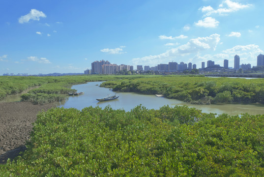 泉州湾红树林公园